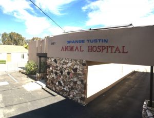 About Us - Orange Tustin Animal Hospital